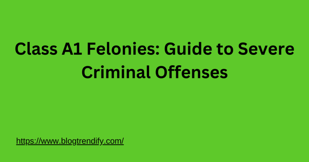 Class A1 Felonies: Guide to Severe Criminal Offenses